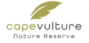 LVTR Associations Logo 2025 - Cape Vulture
