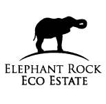 EREE Logo Black Transparent