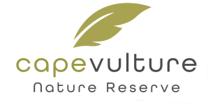 LVTR Associations Logo 2025 - Cape Vulture