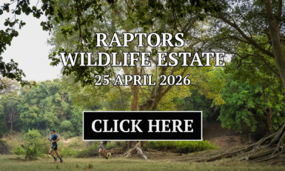 Raptors race page - click here button